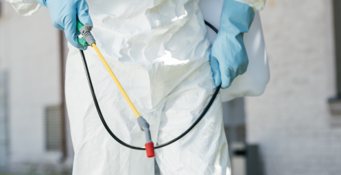 cropped-image-of-pest-control-worker-holding-spray-2024-11-01-06-48-58-utc