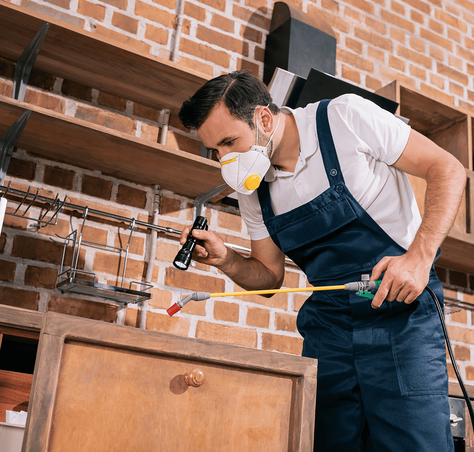 pest-control-worker-spraying-pesticides-in-kitchen-2024-11-18-15-10-30-utc